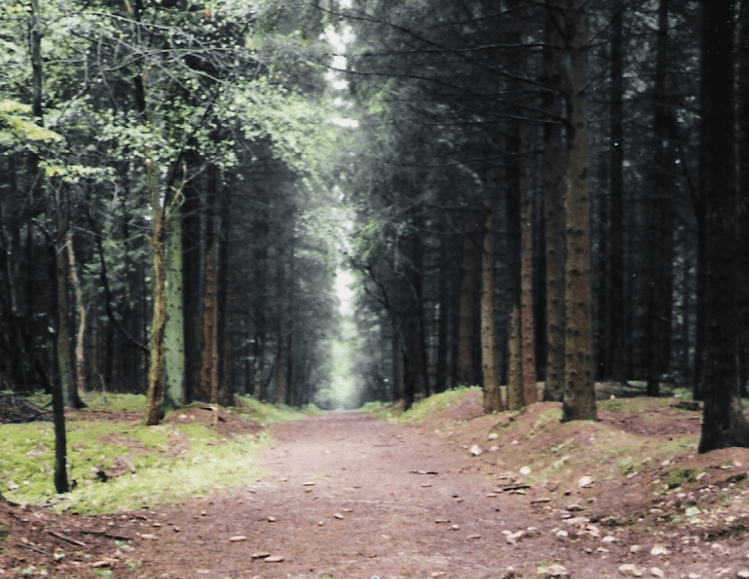 Cote 304, Verdun France